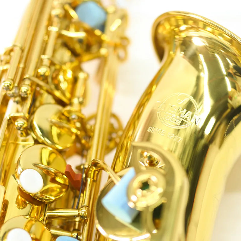 Adult Grading Examination Performance Performance E Flat Alto Brass Saxophone
