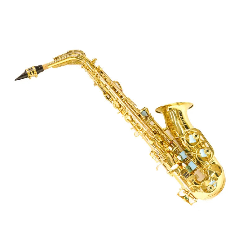 Adult Grading Examination Performance Performance E Flat Alto Brass Saxophone