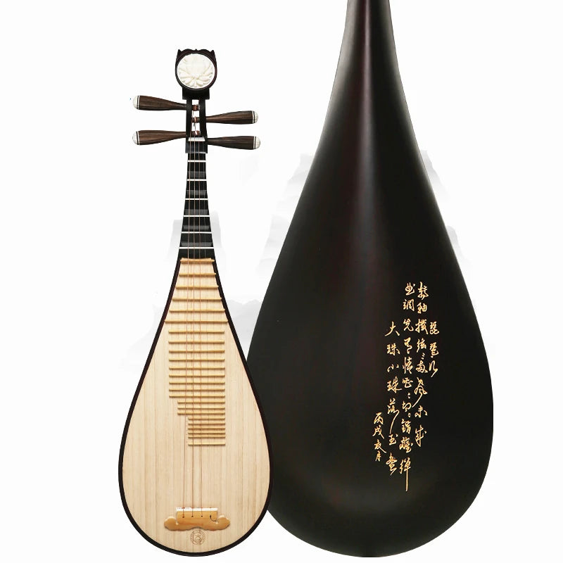 Chinese Lute Pipa Rosewood National String Music Instrument, Pi PA, Famous Brand, Adult Playing Pipa with Full Pipa Accessories