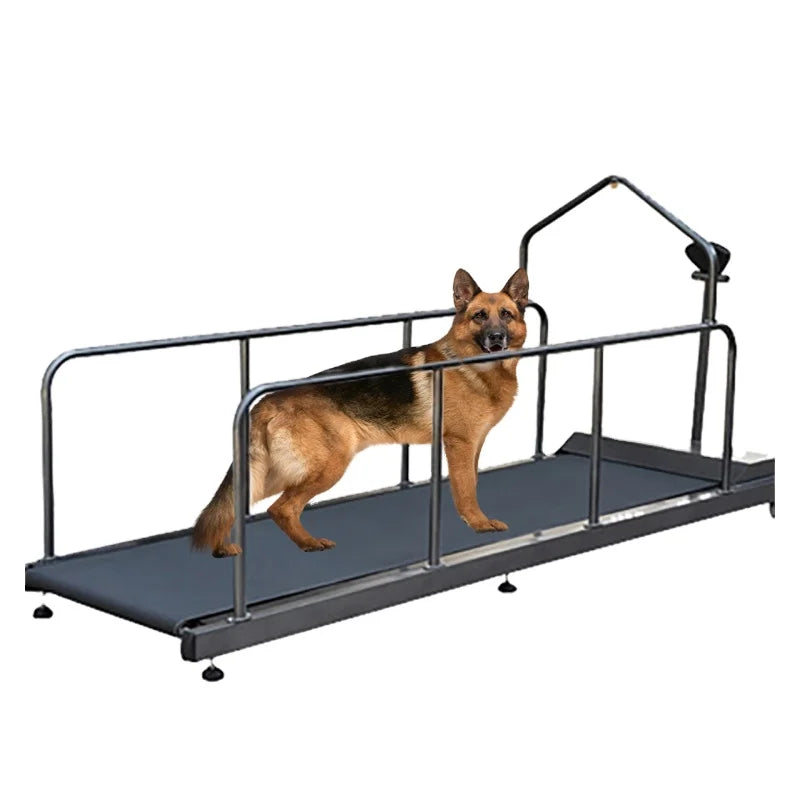 Dog Training Treadmill Pet Large Dog Extra Long Treadmill For Pets