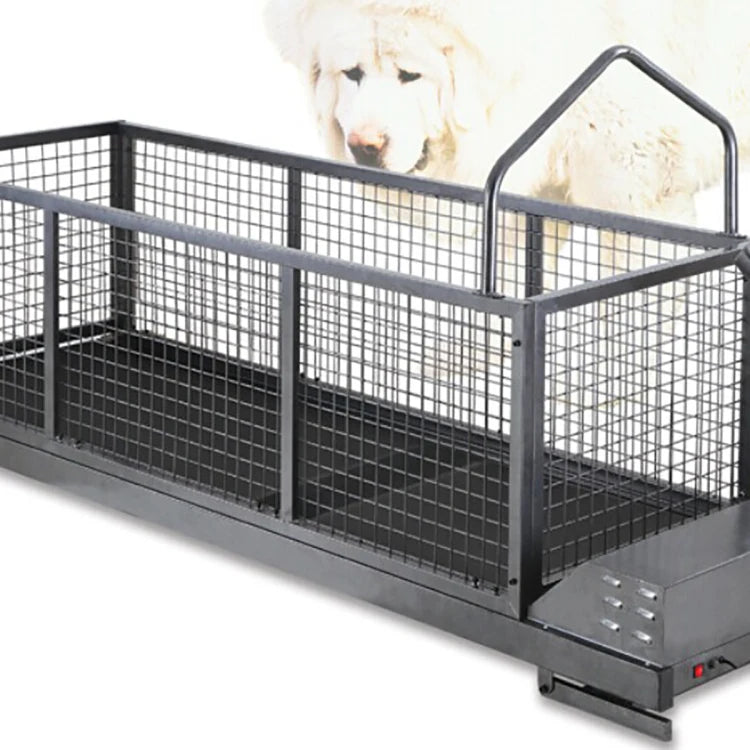 Dog Training Treadmill Pet Large Dog Extra Long Treadmill For Pets