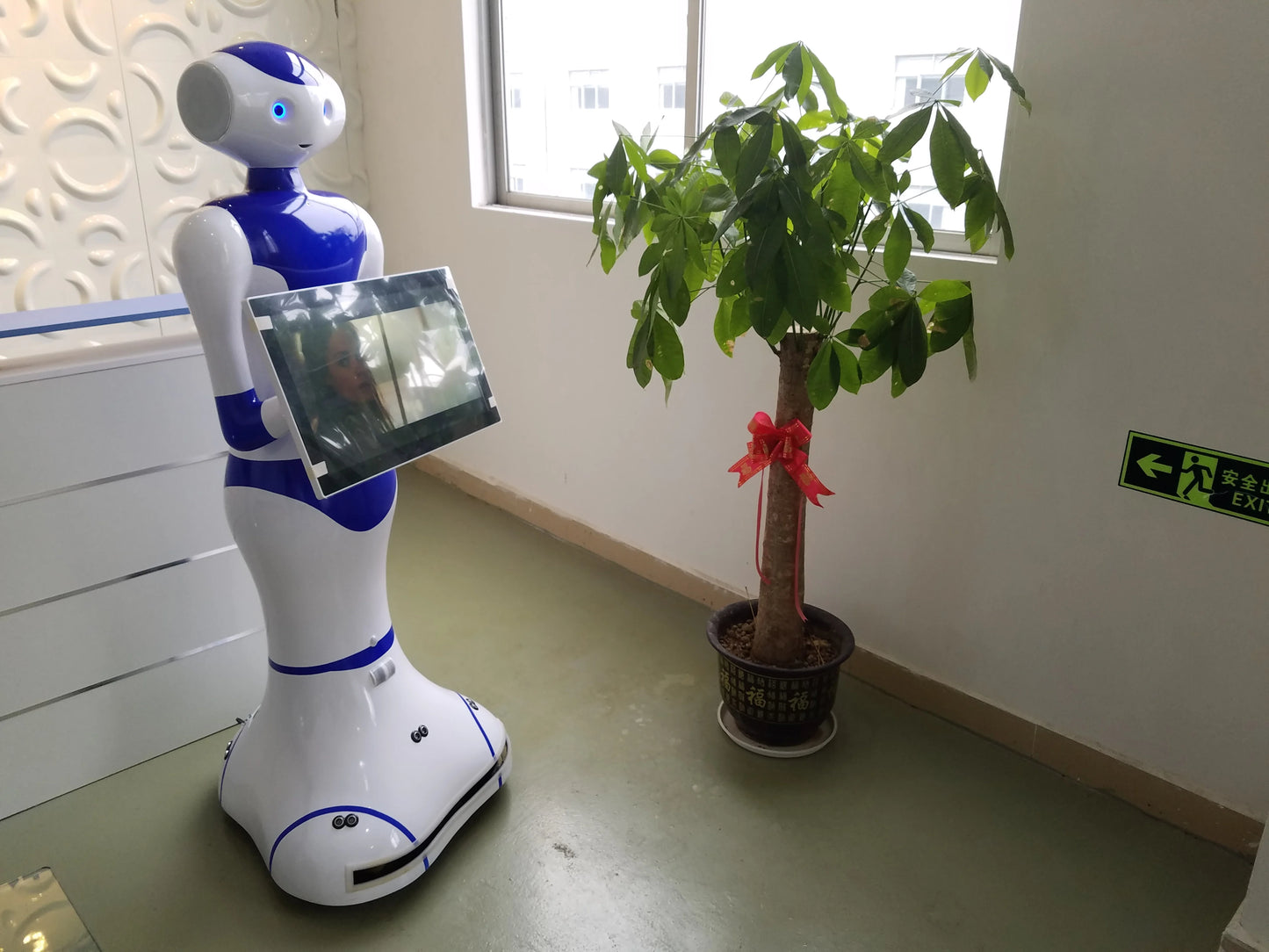 English speech robot artificial intelligence educational robot use in school museum application AI voice guide robot