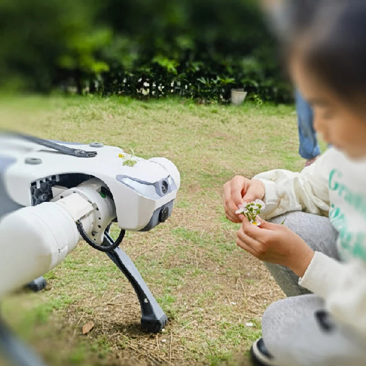 HangZhou DEEPRobotics Technology Dog Jueying Lite 3 Bionic Quadruped Robot  Dog,Intelligent Robot