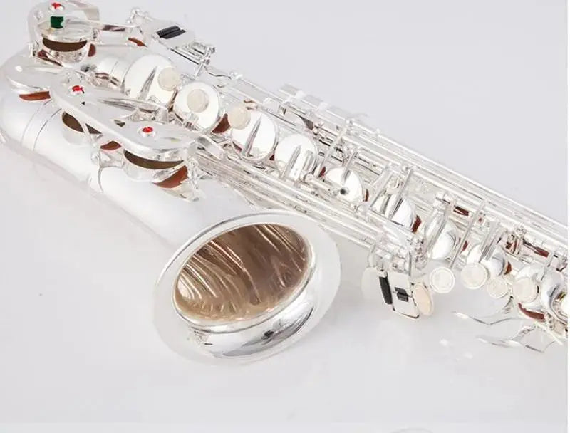Kaluolin Brand Japan High quality Alto Saxophone E-Flat Sax Silver Alto Mouthpiece Reed Neck Musical Instrument Free