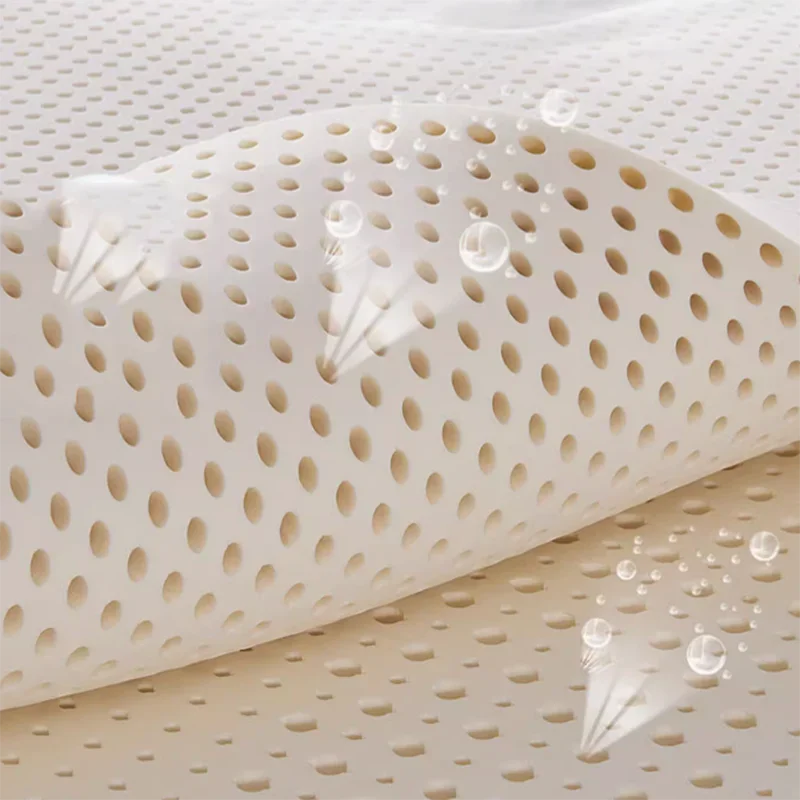 Minimalist Bed Mattress High Industrial Quality Latex Bedroom Tatami Creative Mattresses Foldable Matelas De Sol Sleep Furniture