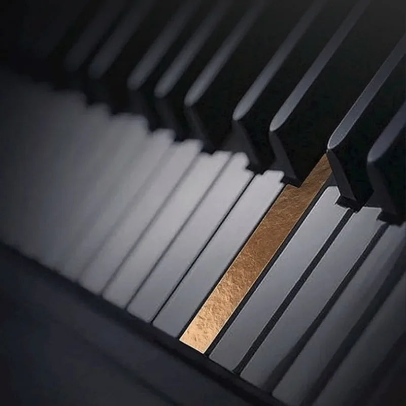 Multifunctional Electronic Piano Midi Instrument Portable Professional Digital Piano 88 Heavy Keys Teclado Midi Musical Keyboard
