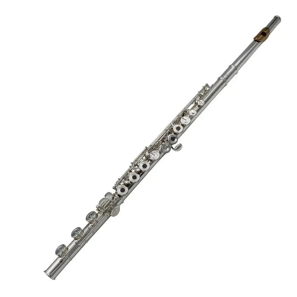 Music solid silver sterling silver body 17 open hole pro use C key flute