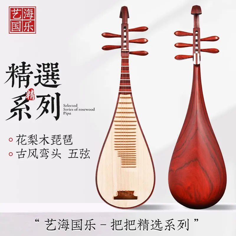 MMOOKA Pipa Chinese lute String Musical Instrument Grade Examination Special Fengweitou Five-string Specialty