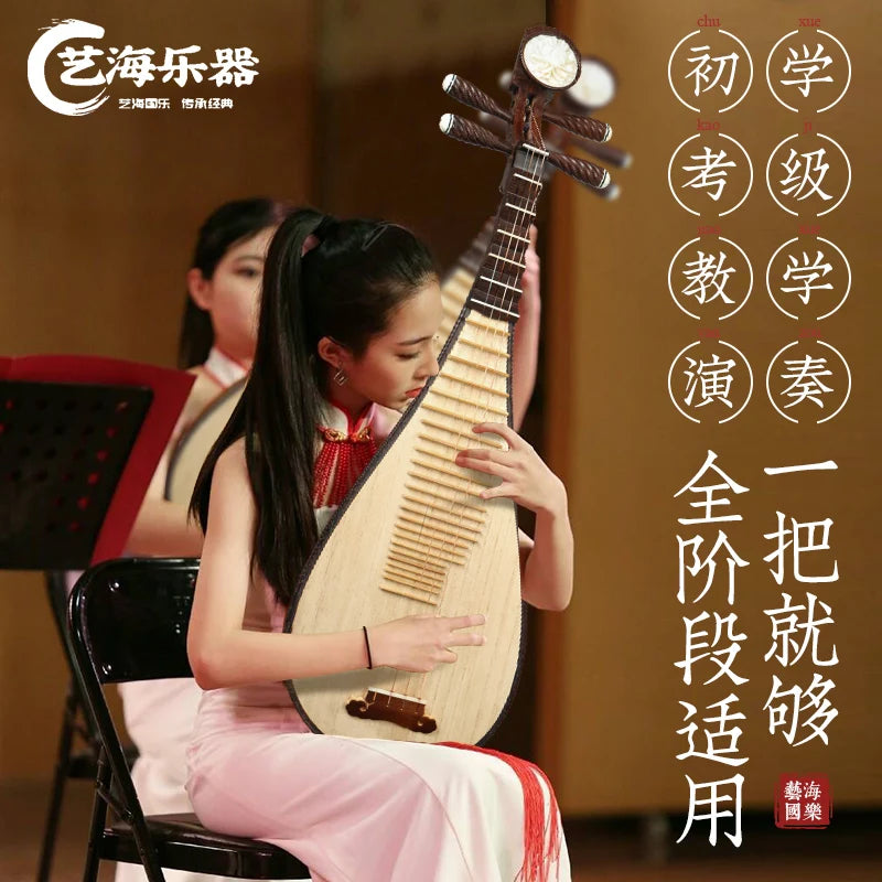 MMOOKA Pipa Chinese lute String Musical Instrument Grade Examination Special Fengweitou Five-string Specialty