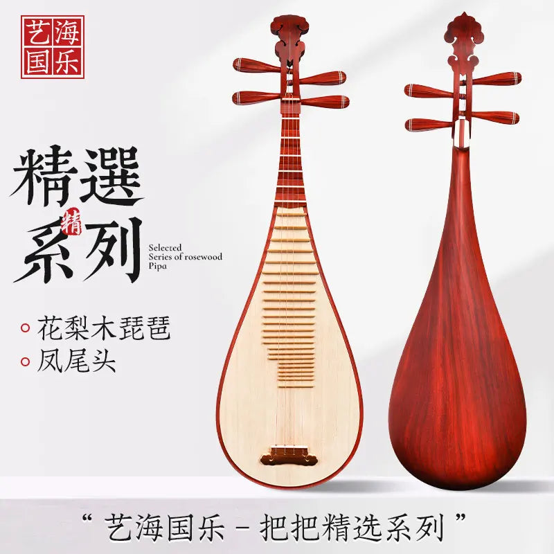 MMOOKA Pipa Chinese lute String Musical Instrument Grade Examination Special Fengweitou Five-string Specialty