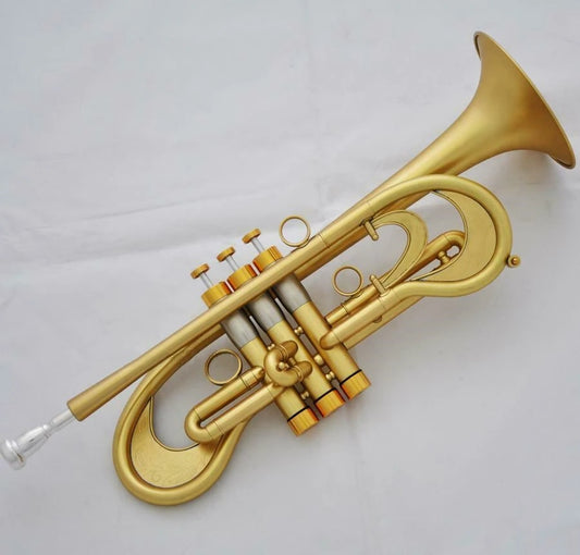 Professional Bb Trumpet Customized Flumpet Horn Matt Finish With Case