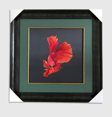 Suzhou Embroidery Handmade Finished Mulberry Silk Embroidery Decoration Paintings Fishes ,Not Include Frame 50*50cm