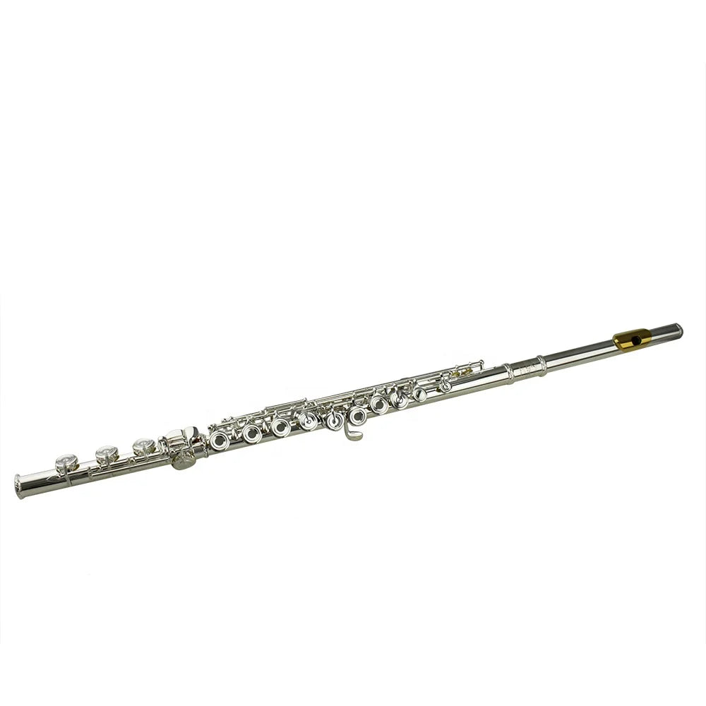 Tide music 17 open holes E mechanism B foot offset French key silver flute