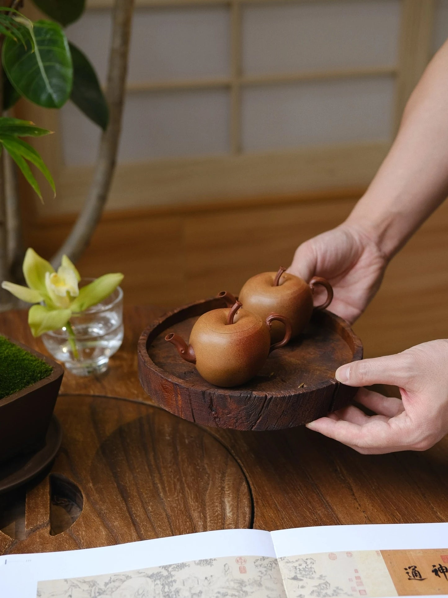Xiaoqian Shanfang Apple Purple Clay Section Mud Yixing Pure Handmade Chinese Household Biomimetic Single Pot Tea Set