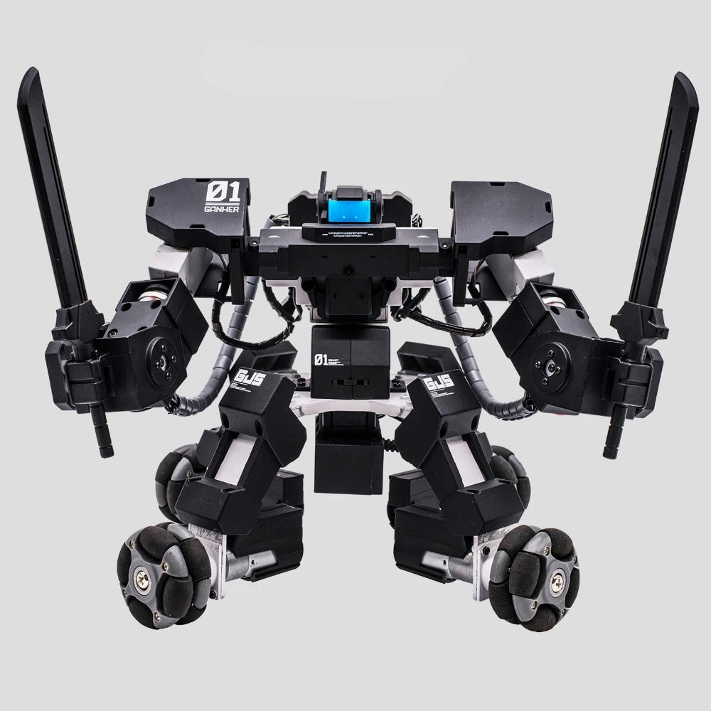 electronic Intelligent rc robot from fighting game