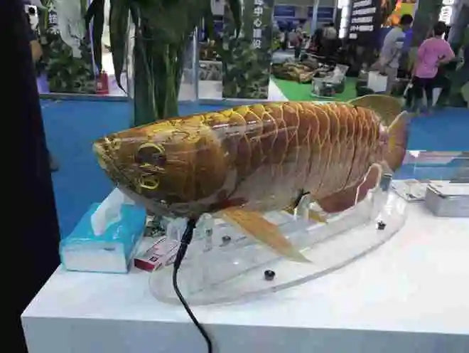 robosea Multi-joint autonomous Bionic fish robot Wireless Underwater Fish Dive Shooting Intelligent Robot  Photo Photography