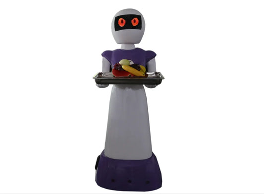 robot human Uwant Humanoid Intelligent Robot