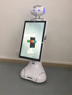 voice English speech robot artificial intelligence education robot use in school museum application AI robot